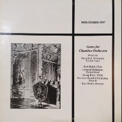 Pro Arte Chamber Orchestra Munich