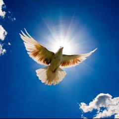 POWER OF GOD