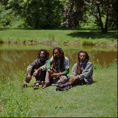 Israel Vibration