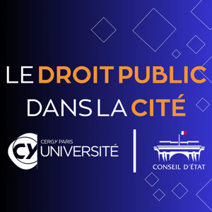 Le droit public dans la cité