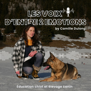 Les voix d'Entre 2 Emotions