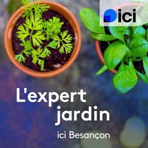 L'expert jardin, ICI Besançon