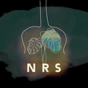 Native Rhythm Sessions