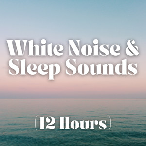 White Noise and Sleep Sounds (12 Hours)