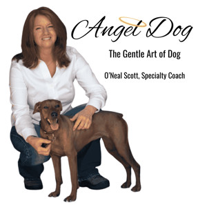 Angel Dog Specialty Coaching