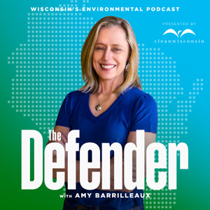 The Defender