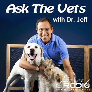 Ask the Vets with Dr. Jeff - Pet Life Radio Original (PetLifeRadio.com)