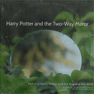[Podfic] Harry Potter and the Two-Way Mirror by thewholeofthemoon