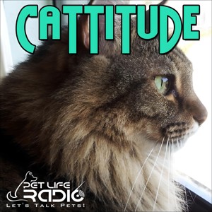 Cattitude - The #1 Cat Podcast About Cats As Pets- Pet Life Radio Original (PetLifeRadio.com)