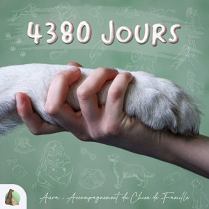 4380 jours avec son chien