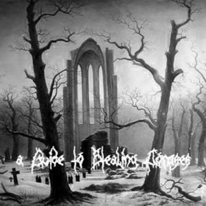 A Guide To Stealing Corpses