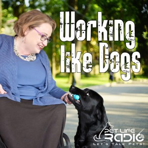 Working Like Dogs - Service Dogs and Working Dogs - Pet Life Radio Original