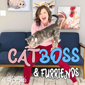CatBoss & Furriends - Cat Training - Pet Life Radio Original
