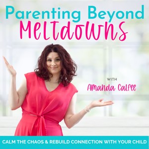 Parenting Beyond Meltdowns | Neurodivergent, ADHD, Autism, ODD, PDA, Defiant, Build Connection, Emotional Regulation