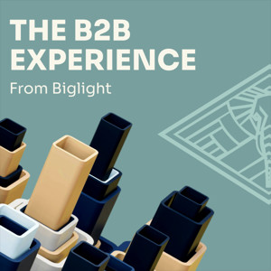 The B2B Experience