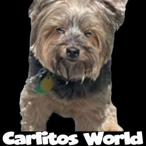 Carlitos World
