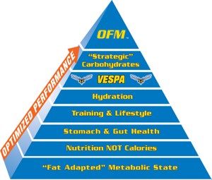 OFM - Why Metabolic Health Matters