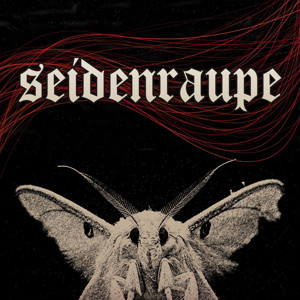 Seidenraupe - L'operazione baco da seta