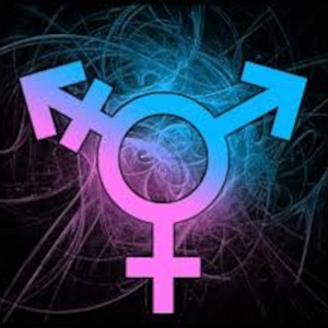 Trans Identities Podcast Series