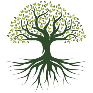 Notre territoire en vie