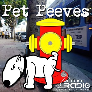 Pet Peeves - hot-button pet issues that make owners growl, wag and purr, or bare their teeth - Pets & Animals on Pet Life Rad...