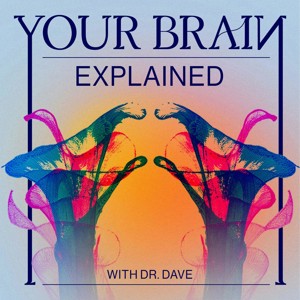 Your Brain Explained