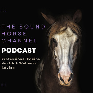 The Sound Horse Channel