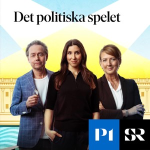 Det politiska spelet