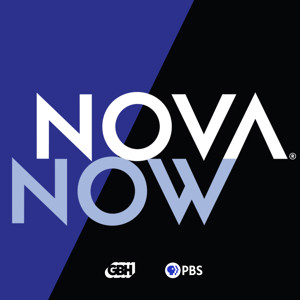 NOVA Now
