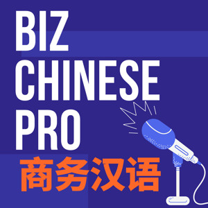 Biz Chinese Pro - 商务汉语