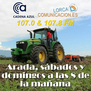 Arada