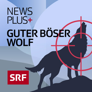 News Plus Hintergründe