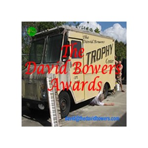 TheDavidBowersAwards