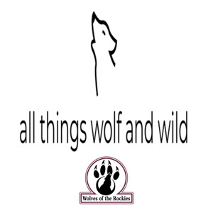 All Things Wolf and Wild Podcast. A WOTR Production.