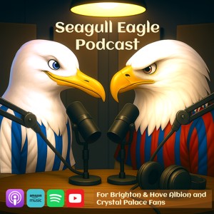 The Seagull Eagle Podcast