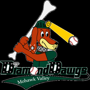 The Mohawk Valley Diamond Dawgs -- The 2020 