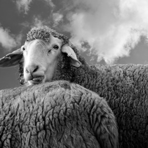 And now what? Doing Political Theory