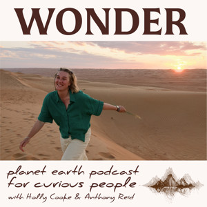 WONDER