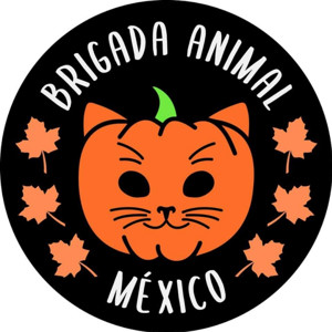 Brigada Animal México