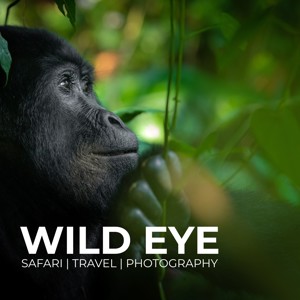 The Wild Eye Podcast