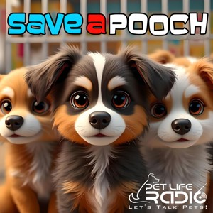 Save A Pooch - Rescue Dog Welfare- Pet Life Radio Original (PetLifeRadio.com)
