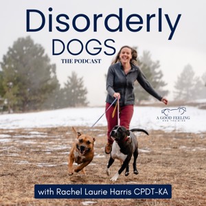 Disorderly Dogs!