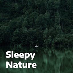 Sleepy Nature – Relaxing Nature Sounds for Sleep & Babies