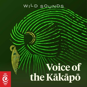Wild Sounds: Voice of the Kākāpō