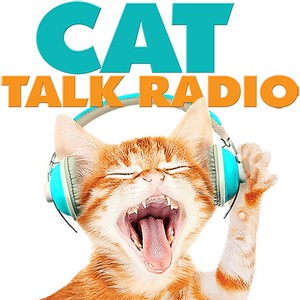 Cat Talk Radio