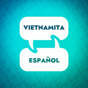 Acelerador de aprendizaje vietnamita