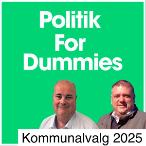 Politik for Dummies