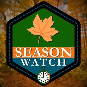 Season Watch