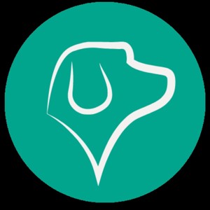 Selva Escuela Canina