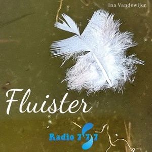 Fluister